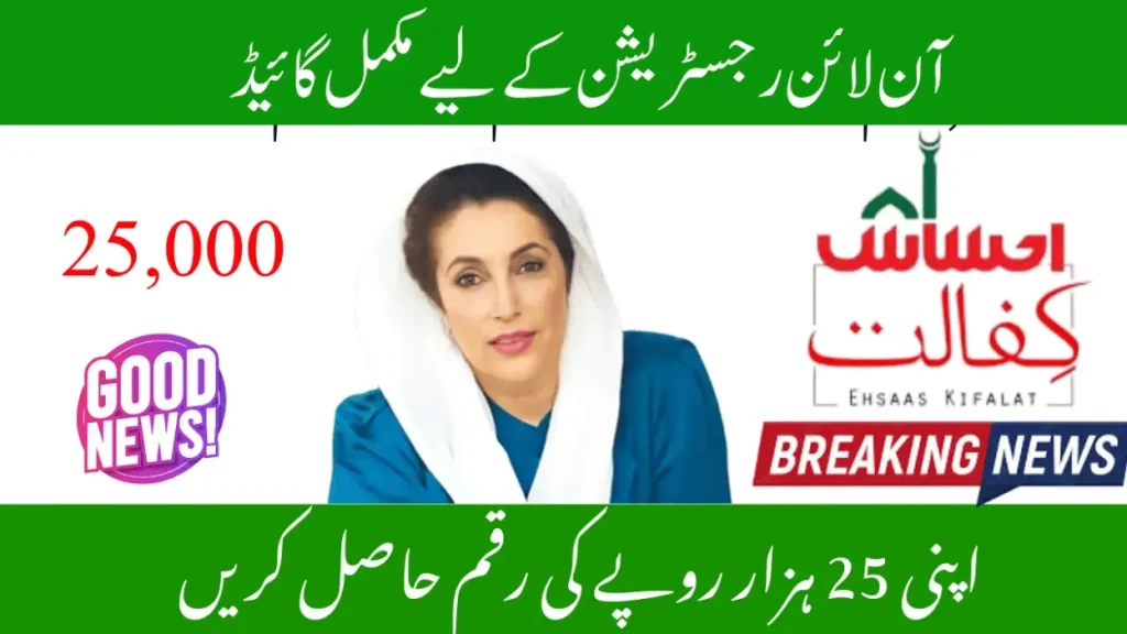8171 Ehsaas Program Check CNIC Online Web Portal Guide (2025 Update)
